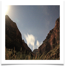 Darkness in the Canyon - Martin Ellison